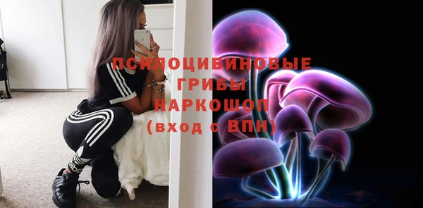 МДПВ Магадан
