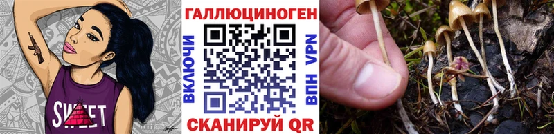 Купить  Можайск  Галлюциногенные грибы Psilocybe 